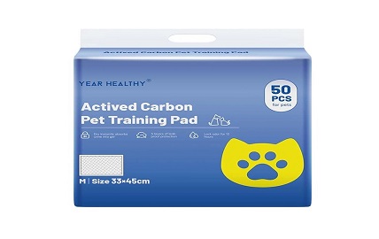 Rainy Day Solutions: Puppy Potty Training with Pads for Inclement Weather