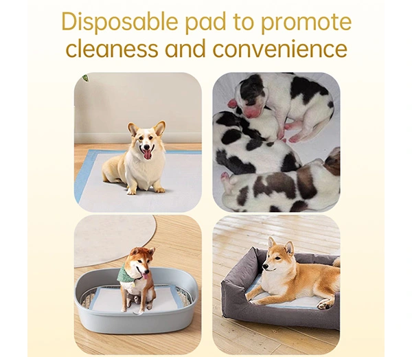 Premium Pet Pads